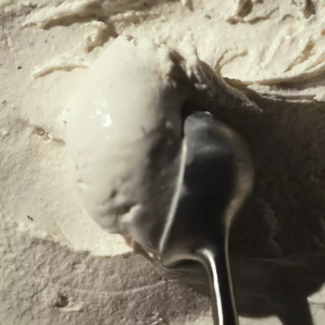Vanilla Bean (6 pints) - Protein Pick